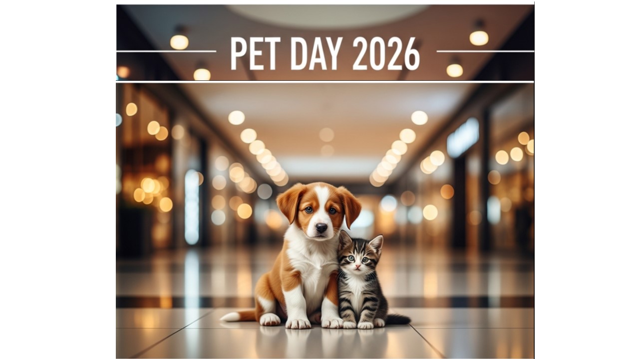 AMOR DE QUATRO PATAS: Shopping Pátio Paulista recebe evento de adoção de pets neste fim de semana.